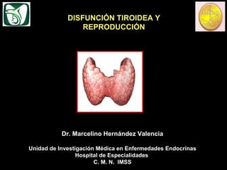 Dr. Marcelino Hernández Valencia Unidad de Investigación Médica en Enfermedades Endocrinas Hospital de Especialidades  C. M. N.  IMSS DISFUNCIÓN TIROIDEA Y REPRODUCCIÓN 