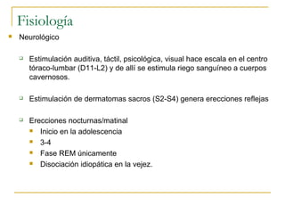 Fisiología
 Neurológico
 Estimulación auditiva, táctil, psicológica, visual hace escala en el centro
tóraco-lumbar (D11-L2) y de allí se estimula riego sanguíneo a cuerpos
cavernosos.
 Estimulación de dermatomas sacros (S2-S4) genera erecciones reflejas
 Erecciones nocturnas/matinal
 Inicio en la adolescencia
 3-4
 Fase REM únicamente
 Disociación idiopática en la vejez.
 