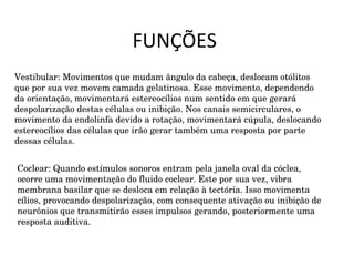 FUNÇÕES  Vestibular: Movimentos que mudam ângulo da cabeça, deslocam otólitos que por sua vez movem camada gelatinosa. Esse movimento, dependendo da orientação, movimentará estereocílios num sentido em que gerará despolarização destas células ou inibição. Nos canais semicirculares, o movimento da endolinfa devido a rotação, movimentará cúpula, deslocando estereocílios das células que irão gerar também uma resposta por parte dessas células. Coclear: Quando estímulos sonoros entram pela janela oval da cóclea, ocorre uma movimentação do fluido coclear. Este por sua vez, vibra membrana basilar que se desloca em relação à tectória. Isso movimenta cílios, provocando despolarização, com consequente ativação ou inibição de neurônios que transmitirão esses impulsos gerando, posteriormente uma resposta auditiva. 