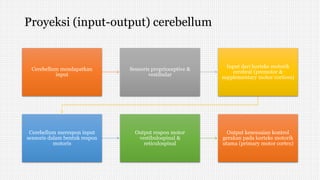 Proyeksi (input-output) cerebellum
Cerebellum mendapatkan
input
Sensoris proprioceptive &
vestibular
Input dari korteks motorik
cerebral (premotor &
supplementary motor cortices)
Cerebellum merespon input
sensoris dalam bentuk respon
motoris
Output respon motor
vestibulospinal &
reticulospinal
Output kesesuaian kontrol
gerakan pada korteks motorik
utama (primary motor cortex)
 