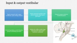 Input & output vestibular
Input sensoris dari organ
vestibular pada telinga dalam
Input sensoris gerakan dan
posisi kepala, input gaya
gravitasi
Output respon motoris
vestibulospinal
Kontrol gerakan, posisi kepala,
postur terhadap gravitasi
Selain itu reflex ocular juga
dipengaruhi oleh input
sensoris vestibular
 