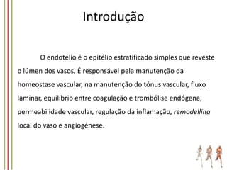 Introdução
O endotélio é o epitélio estratificado simples que reveste
o lúmen dos vasos. É responsável pela manutenção da
homeostase vascular, na manutenção do tónus vascular, fluxo
laminar, equilíbrio entre coagulação e trombólise endógena,
permeabilidade vascular, regulação da inflamação, remodelling
local do vaso e angiogénese.

 