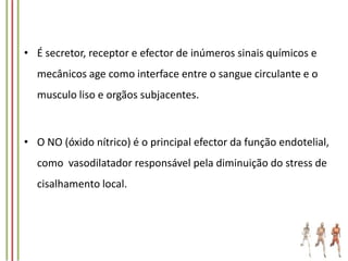• É secretor, receptor e efector de inúmeros sinais químicos e
mecânicos age como interface entre o sangue circulante e o
musculo liso e orgãos subjacentes.

• O NO (óxido nítrico) é o principal efector da função endotelial,
como vasodilatador responsável pela diminuição do stress de
cisalhamento local.

 