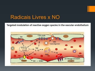 Radicais Livres x NO

 