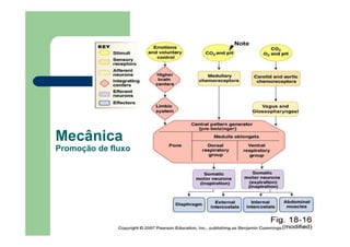 Mecânica
Promoção de fluxo
 