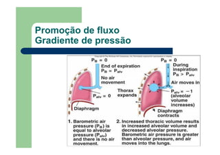 Promoção de fluxo
Gradiente de pressão
 