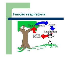 Função respiratória
 