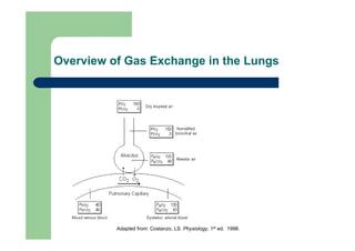 Overview of Gas Exchange in the Lungs




          Adapted from: Costanzo, LS. Physiology, 1st ed. 1998.
 