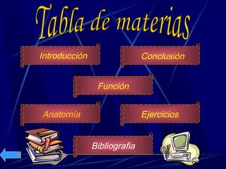 Introducción                  Conclusión


                Función


Anatomía                      Ejercicios


               Bibliografia
 