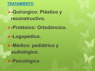 TRATAMIENTO 
-Quirúrgico: Plástico y 
reconstructivo. 
-Protésico: Ortodóncico. 
-Logopédico. 
-Médico: pediátrico y 
audiológico. 
-Psicológico. 
 