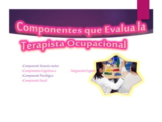 »Componente Sensorio-motor
»Componentes Cognitivos e Integración Cognitiva
»Componente Psicológico
»Componente Social
 