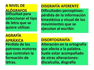 Dificultad para
seleccionar el tipo
de letra que se
quiere utilizar.
A NIVEL DE
ALÓGRAFOS
Pérdida de los
patrones motores
que controlan la
formación de
letras.
AGRAFÍA
APRÁXICA
Dificultades perceptivas:
pérdida de la información
kinestésica y visual de los
movimientos que se
ejecutan al escribir.
DISGRAFÍA AFERENTE
Alteración en la ortografía
que afecta a la palabra.
Suele estar acompañado
de otras alteraciones:
discalculia, disgrafía
DISORTOGRAFÍA
 
