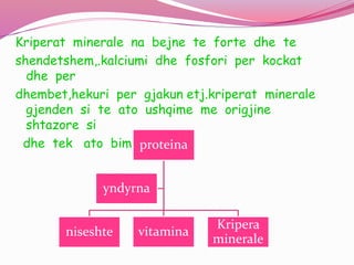Kriperat minerale na bejne te forte dhe te
shendetshem,.kalciumi dhe fosfori per kockat
dhe per
dhembet,hekuri per gjakun etj.kriperat minerale
gjenden si te ato ushqime me origjine
shtazore si
dhe tek ato bimore.proteina
niseshte vitamina
Kripera
minerale
yndyrna
 