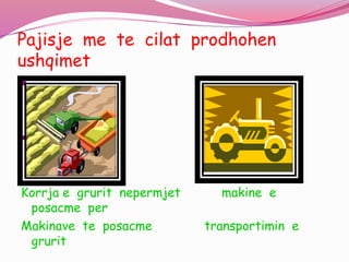 Pajisje me te cilat prodhohen
ushqimet


Korrja e grurit nepermjet makine e
posacme per
Makinave te posacme transportimin e
grurit
 