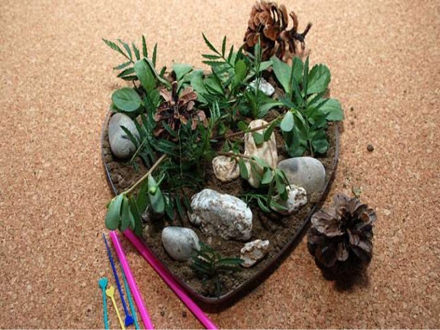 Dish Garden