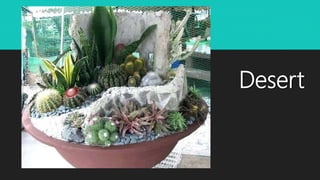 Desert
 