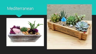 Mediterranean
 