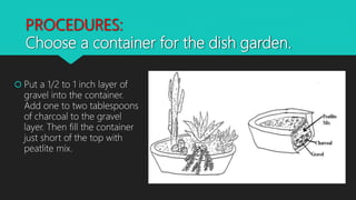 PROCEDURES:
Choose a container for the dish garden.
 Put a 1/2 to 1 inch layer of
gravel into the container.
Add one to two tablespoons
of charcoal to the gravel
layer. Then fill the container
just short of the top with
peatlite mix.
 