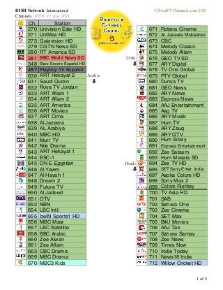 DISH Network TV Channel Guide | International Stations