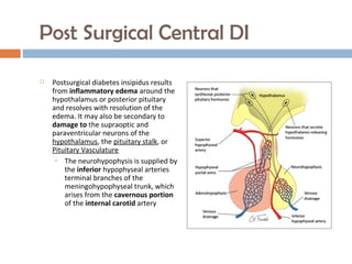 Post Surgical Central DI
 Postsurgical diabetes insipidus results
from inflammatory edema around the
hypothalamus or posterior pituitary
and resolves with resolution of the
edema. It may also be secondary to
damage to the supraoptic and
paraventricular neurons of the
hypothalamus, the pituitary stalk, or
Pituitary Vasculature
 The neurohypophysis is supplied by
the inferior hypophyseal arteries
terminal branches of the
meningohypophyseal trunk, which
arises from the cavernous portion
of the internal carotid artery
 