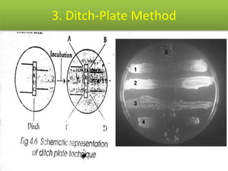 3. Ditch-Plate Method
 