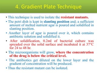 4. Gradient Plate Technique
• This technique is used to isolate the resistant mutants.
• The petri dish is kept in slanting position and; a sufficient
amount of melted nutrient agar is poured and solidified in
slanting position.
• Another layer of agar is poured over it, which contains
antibiotic solution and solidified it.
• After solidification, 0.2ml of bacterial culture was
spreaded over the solid surface and incubated it at 37°C
for 24 to 48 hr.
• The microorganisms will grow, where the concentration
of the drug is below the critical level.
• The antibiotics get diluted on the lower layer and the
gradient of concentration will be produced.
• Thus the resistant mutant can be isolated.
 