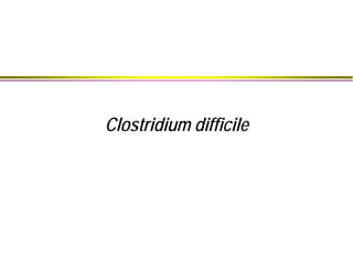 Clostridium difficile
 