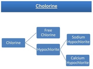 Cholorine
Chlorine
Hypochlorite
Sodium
Hypochlorite
Calcium
Hypochlorite
Free
Chlorine
 