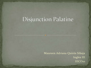 DisjunctionPalatine Maureen Adriana Quirós Sibaja Ingles III IIICO10  