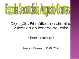 Ciências Naturais Lenora Ferreira, Nº 20, 7º A Disjunções Prismáticas na chaminé vulcânica do Penedo do Lexim Escola Secundária Augusto Gomes 