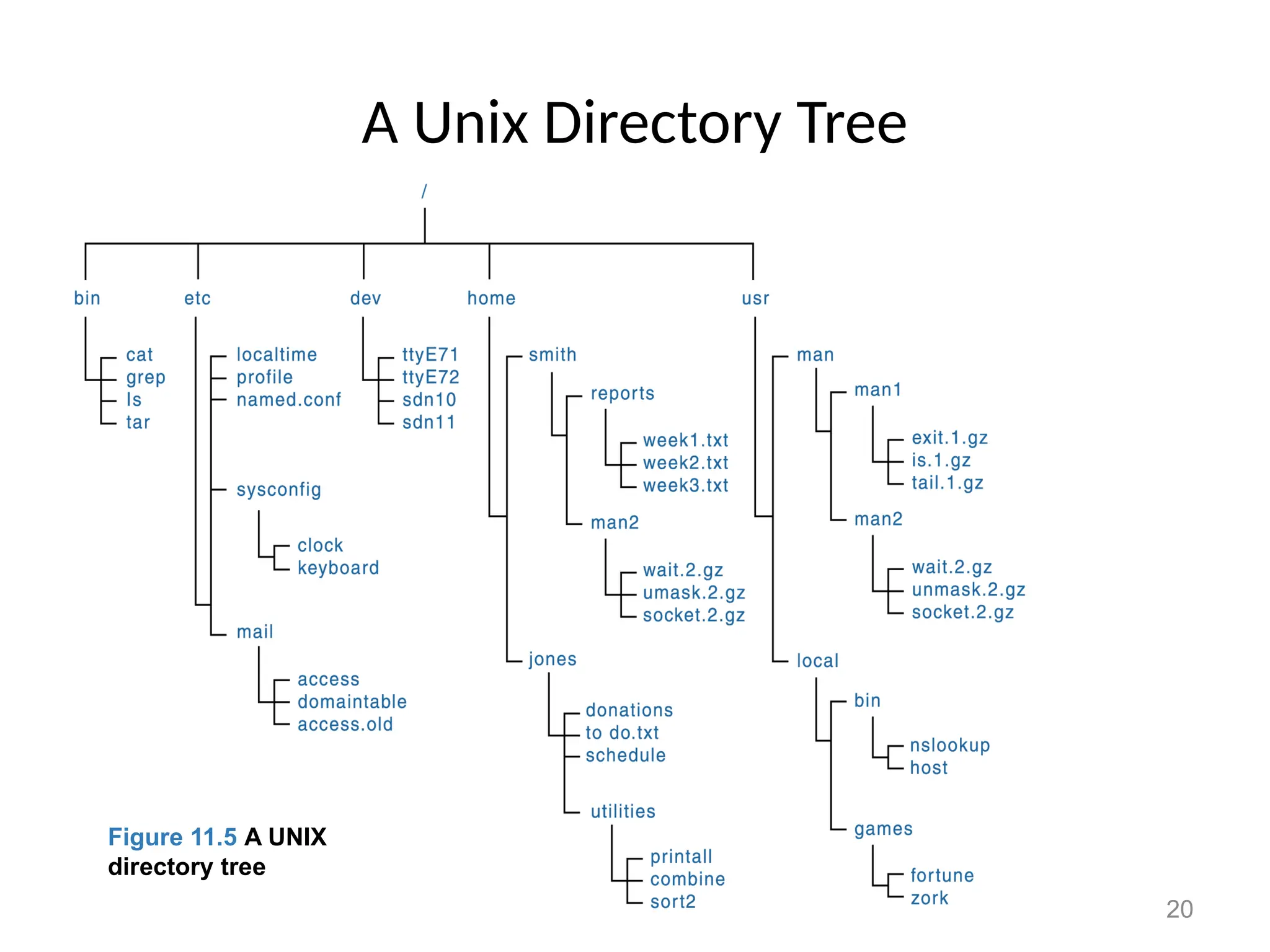 20
A Unix Directory Tree
Figure 11.5 A Unix directory
tree
Figure 11.5 A UNIX
directory tree
 