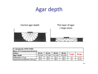 Agar depth
Correct agar depth Thin layer of agar
= large zones
EM
P. aeruginosa ATCC 27853
Mean of 3 measurements (mm)
Volum 22 mL 25 mL 28 mL 30 mL
Agar depth 3.2 mm 3.7 mm 4.2 mm 4.6 mm
Ceftazidime 10 µg 25.3 24.0 23.3 22.3 24 21-27
Piperacillin-tazobactam 30-6 µg 27.0 27.0 26.0 24.3 26 23-29
Target Range
 