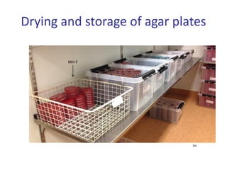 MH-F
EM
Drying and storage of agar plates
 