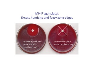 MH-F agar plates
Excess humidity and fuzzy zone edges
In-house produced
plate stored in
ventilated rack
Commercial plate
stored in plastic bag
 