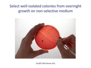 Select well-isolated colonies from overnight
growth on non-selective medium
EUCAST 2022 Version 10.0
 