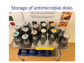 Storage of antimicrobial disks
 