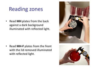 Reading zones
• Read MH plates from the back
against a dark background
illuminated with reflected light.
• Read MH-F plates from the front
with the lid removed illuminated
with reflected light.
 