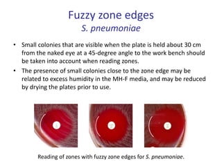 Fuzzy zone edges
S. pneumoniae
• Small colonies that are visible when the plate is held about 30 cm
from the naked eye at a 45-degree angle to the work bench should
be taken into account when reading zones.
• The presence of small colonies close to the zone edge may be
related to excess humidity in the MH-F media, and may be reduced
by drying the plates prior to use.
Reading of zones with fuzzy zone edges for S. pneumoniae.
 