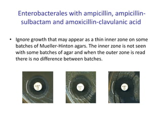 Enterobacterales with ampicillin, ampicillin-
sulbactam and amoxicillin-clavulanic acid
• Ignore growth that may appear as a thin inner zone on some
batches of Mueller-Hinton agars. The inner zone is not seen
with some batches of agar and when the outer zone is read
there is no difference between batches.
 