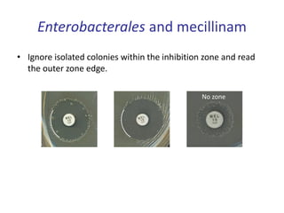 Enterobacterales and mecillinam
• Ignore isolated colonies within the inhibition zone and read
the outer zone edge.
No zone
 