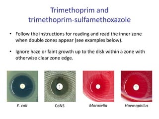 Trimethoprim and
trimethoprim-sulfamethoxazole
• Follow the instructions for reading and read the inner zone
when double zones appear (see examples below).
• Ignore haze or faint growth up to the disk within a zone with
otherwise clear zone edge.
Moraxella Haemophilus
E. coli CoNS
 