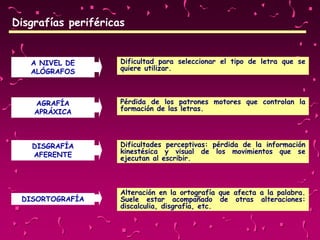 Disgrafías periféricas
A NIVEL DE
ALÓGRAFOS
Dificultad para seleccionar el tipo de letra que se
quiere utilizar.
AGRAFÍA
APRÁXICA
Pérdida de los patrones motores que controlan la
formación de las letras.
DISGRAFÍA
AFERENTE
Dificultades perceptivas: pérdida de la información
kinestésica y visual de los movimientos que se
ejecutan al escribir.
DISORTOGRAFÍA
Alteración en la ortografía que afecta a la palabra.
Suele estar acompañado de otras alteraciones:
discalculia, disgrafía, etc.
 