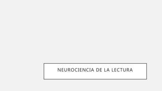 NEUROCIENCIA DE LA LECTURA
 