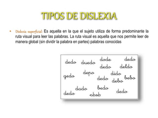 TIPOS DE DISLEXIA 
• Dislexia superficial: Es aquella en la que el sujeto utiliza de forma predominante la 
ruta visual para leer las palabras. La ruta visual es aquella que nos permite leer de 
manera global (sin dividir la palabra en partes) palabras conocidas 
 