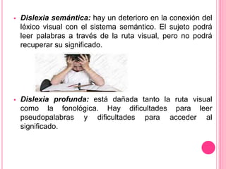  Dislexia semántica: hay un deterioro en la conexión del 
léxico visual con el sistema semántico. El sujeto podrá 
leer palabras a través de la ruta visual, pero no podrá 
recuperar su significado. 
 Dislexia profunda: está dañada tanto la ruta visual 
como la fonológica. Hay dificultades para leer 
pseudopalabras y dificultades para acceder al 
significado. 
 