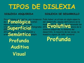 TIPOS DE DISLEXIA
DISLEXIA ADQUIRIDA DISLEXIA DE DESARROLLO
Sin problema perceptivo, son incapaces
de reconocer las palabras. Existen
algunos signos como patrones
irregulares en el electroencefalograma
(EEG), reflejos anormales, o
dificultades en la coordinación y
orientación mano-ojo, por ejemplo.
Fonológica
Superficial
Semántica
Profunda
Auditiva
Visual
Pudo haber un atraso en algún aspecto
del desarrollo, alguna deficiencia en la
maduración neuronal, que ocasionado las
dificultades del niño. A diferencia de la
dislexia adquirida, la dislexia del
desarrollo, la mayoría de las veces, no
muestra signos de daño cerebral
Evolutiva
Profunda
 