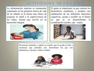 ACTIVIDADES DE 0 A 5 AÑOS
La alimentación materna es sumamente
importante en los primeros meses de vida
de un infante es la forma mas eficaz de
asegurar la salud y la supervivencia de
los niños, misma que servirá en su
desarrollo integral.
El gateo es importante ya que conecta los
hemisferios cerebrales, y produce una
maduración de las diferentes funciones
cognitivas, ayuda a escribir en el futuro
ya que se va desarrollando la
coordinación cerebro, ojo – mano.
Reconocer animales y repetir su sonido, que le ayuda al niño a
reconocer que animales son, discriminar los que son
domésticos, salvajes e imitar sonidos.
 