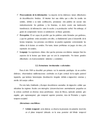  Procesamiento de la información: La mayoría de los disléxicos tienen dificultades 
de decodificación fonética. Al intentar leer una sílaba que a ellos les resulta sin 
sentido, debido a su mala codificación, pronuncias otra palabra sin asociar más 
meticulosamente los grafemas y los fonemas, es decir, ocurre una inadecuada 
transferencia de información entre lo escrito y su producción verbal. Sin embargo, el 
grado de comprensión lectora es satisfactorio en líneas generales. 
 Percepción: El ser capaz de percibir que las palabras están formadas por grafemas, 
y que los grafemas están asociados con ellos, es fundamental para el desarrollo de la 
lectura temprana. Las personas con dislexia no pueden segmentar correctamente las 
sílabas de la lectura en sonidos. Por tanto, tienen problemas en juegos de rima y de 
repetición de sonidos. 
 Lenguaje: La experiencia clínica dice que las personas con dislexia manejan bien los 
aspectos de la lectura que tienen que ver con la comprensión. No tienen grandes 
dificultades en el procesamiento sintáctico y semántico. 
2.2. Estructuras involucradas o afectadas: 
Para el año 1968 se describió por primera vez la anatomía patológica de un cerebro 
disléxico, observándose malformaciones cerebrales en el giro cortical de la región parietal 
izquierda, que incluían heterotopias (localización irregular debida a migración) externas y 
atrofia del cuerpo calloso. 
Por otro lado, Galaburda y Kemper descubrieron anomalías de migración celular que 
afectaban las regiones focales con microgiria (circunvoluciones anormalmente pequeñas en 
la corteza cerebral) en diversas áreas persilvianas: áreas de Broca, opérculo parietal, giro 
angular, giro supramarginal, giro temporal superior posterior, área de Wernicke y región 
temporo-occipital. 
Alteraciones encefálicas: 
 Lóbulo temporal: en la dislexia se observa la presencia de asimetría invert ida 
en el plano temporal (ubicada en la zona posterior del lóbulo temporal 
 