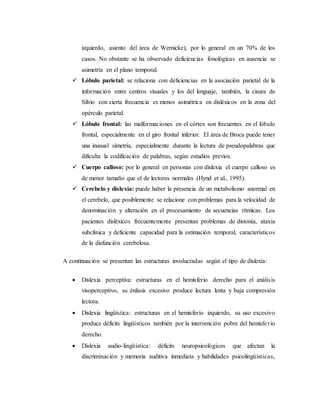 izquierdo, asiento del área de Wernicke), por lo general en un 70% de los 
casos. No obstante se ha observado deficiencias fonológicas en ausencia se 
asimetría en el plano temporal. 
 Lóbulo parietal: se relaciona con deficiencias en la asociación parietal de la 
información entre centros visuales y los del lenguaje, también, la cisura de 
Silvio con cierta frecuencia es menos asimétrica en disléxicos en la zona del 
opérculo parietal. 
 Lóbulo frontal: las malformaciones en el córtex son frecuentes en el lóbulo 
frontal, especialmente en el giro frontal inferior. El área de Broca puede tener 
una inusual simetría, especialmente durante la lectura de pseudopalabras que 
dificulta la codificación de palabras, según estudios previos. 
 Cuerpo calloso: por lo general en personas con dislexia el cuerpo calloso es 
de menor tamaño que el de lectores normales (Hynd et al., 1995). 
 Cerebelo y dislexia: puede haber la presencia de un metabolismo anormal en 
el cerebelo, que posiblemente se relacione con problemas para la velocidad de 
denominación y alteración en el procesamiento de secuencias rítmicas. Los 
pacientes disléxicos frecuentemente presentan problemas de distonía, ataxia 
subclínica y deficiente capacidad para la estimación temporal, característicos 
de la disfunción cerebelosa. 
A continuación se presentan las estructuras involucradas según el tipo de dislexia: 
 Dislexia perceptiva: estructuras en el hemisferio derecho para el anális is 
visoperceptivo, su énfasis excesivo produce lectura lenta y baja compresión 
lectora. 
 Dislexia lingüística: estructuras en el hemisferio izquierdo, su uso excesivo 
produce déficits lingüísticos también por la intervención pobre del hemisfe r io 
derecho. 
 Dislexia audio-lingüística: déficits neuropsicológicos que afectan la 
discriminación y memoria auditiva inmediata y habilidades psicolingüísticas, 
 