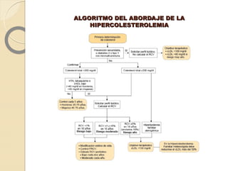 ALGORITMO DEL ABORDAJE DE LAALGORITMO DEL ABORDAJE DE LA
HIPERCOLESTEROLEMIAHIPERCOLESTEROLEMIA
 